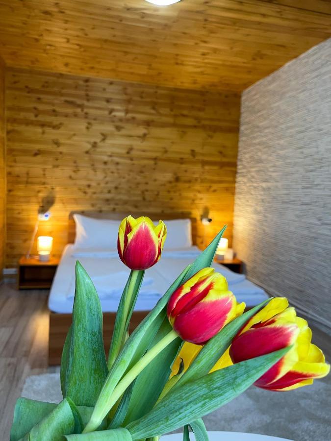 Somogyi Vendeghaz Bed & Breakfast Bancu Екстериор снимка